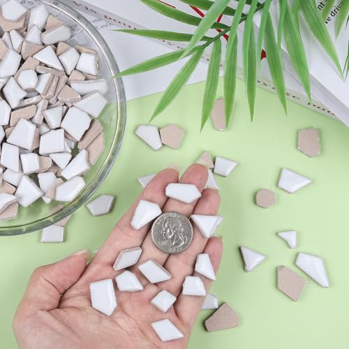 454g Irregular Shape White Ceramic Mosaic Tiles for DIY Crafts Bulk