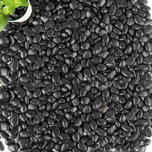 45lb Black Pebbles for Plants (720 Ounce)