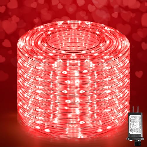 100FT 300 LED Rope Lights for Outside
