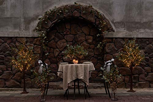 Lighted Eucalyptus Branches 24IN 36 LED with Timer Battery Operated Lit Artificial Greenery for Wedding Party Home Spring Decoration Indoor Outdoor (2 Foot)