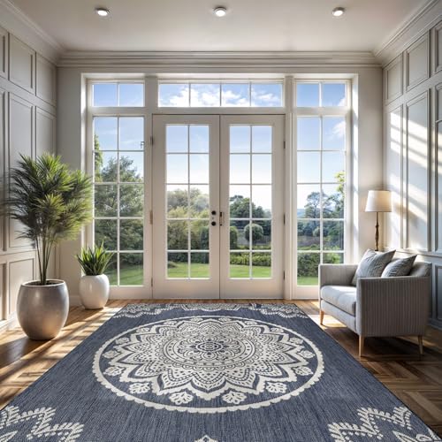 Outdoor Rug 8x10 Modern Area Rugs for Indoor and Outdoor Patios and Porches