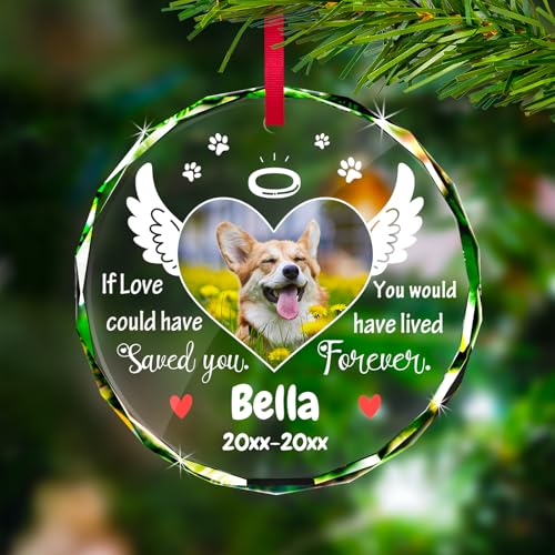 Personalized Memorial Pet Glass Ornament