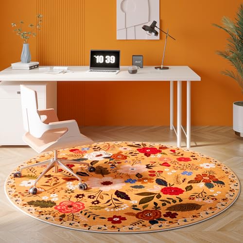 Round Area Rug 4ft Washable