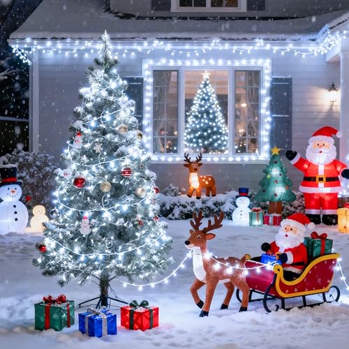 91.5ft Connectable 250 LED White Christmas Lights Indoor Outdoor (91.5 Foot)