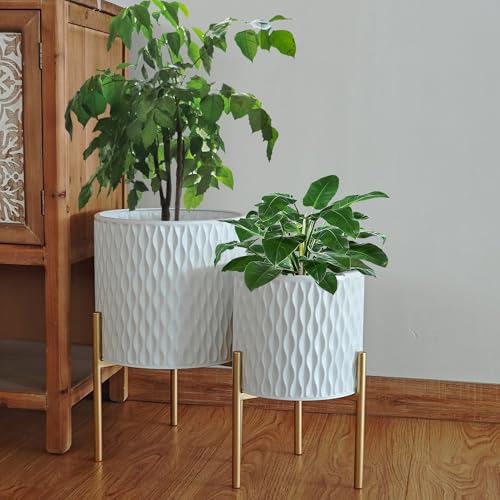 Plants Pots with Stand (2 Count)