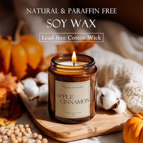 Cinnamon Apple Scented Candle for Home (14 Ounce)