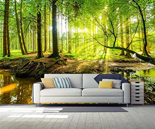 Wall Mural Fall Forest Stream Wallpaper