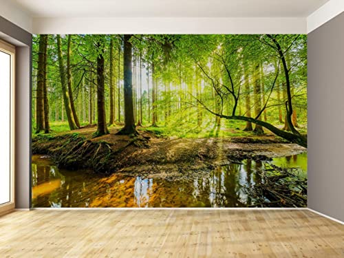 Wall Mural Fall Forest Stream Wallpaper