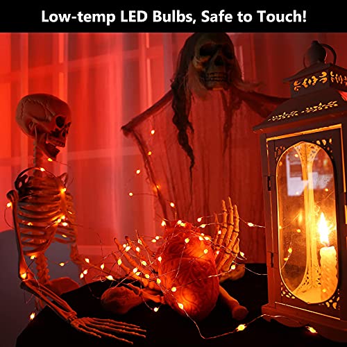Orange Battery Halloween Fairy Lights with Remote 17.48 ft 50 LED (34.96 Foot)