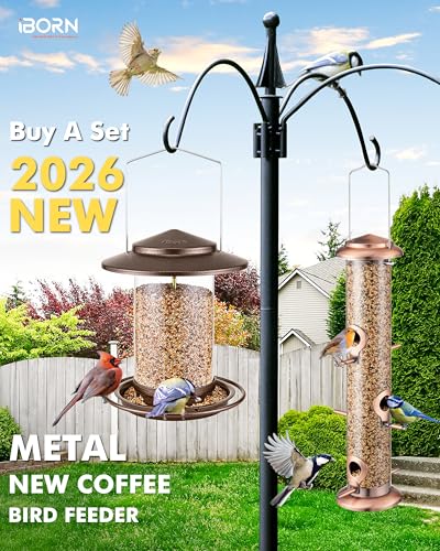Bird Feeder for Outside Hanging