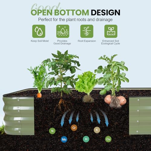 Raised Garden Bed Outdoor