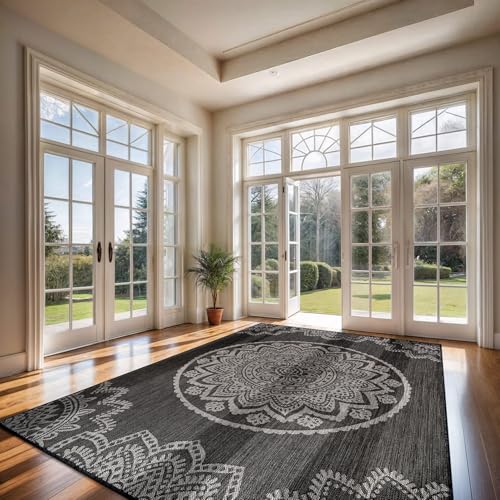 Outdoor Rug 8x10 Modern Area Rugs for Indoor and Outdoor Patios and Porches