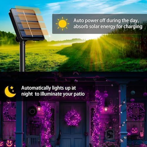 Solar String Lights Outdoor (4 Count)