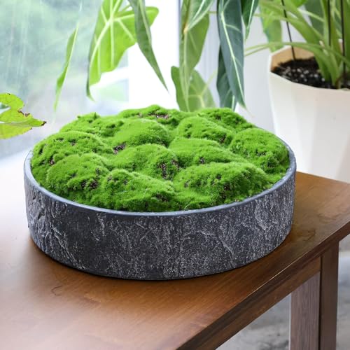 New Moss Bowl