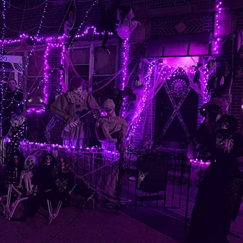 2 Pack Halloween Fairy String Lights