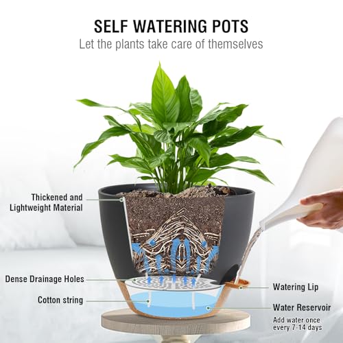 10 inch Self Watering Hanging Planters (2 Count)