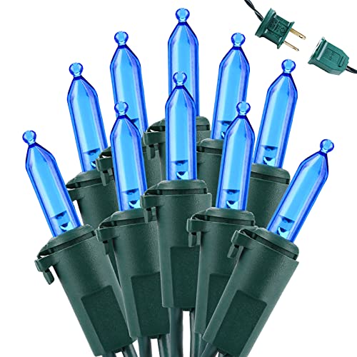 Blue Christmas Lights (33 Foot)