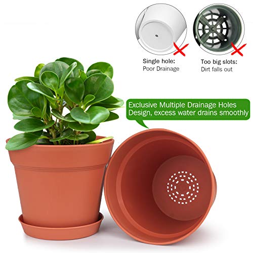 6 Inch Plastic Flower Pots with Drainage Holes and Trays (15 Count)