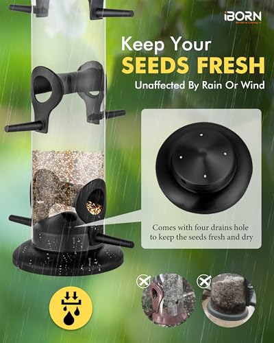 Metal Bird Feeder Hanging Wild Bird Seed Feeder for Mix Seed Blends Heavy Duty All Metal Black Finish (2 Count)