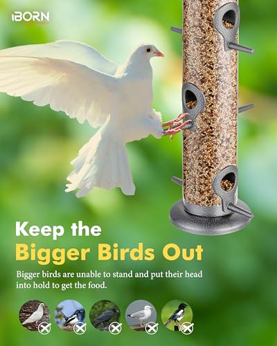 Metal Bird Feeder Hanging Wild Bird Seed Feeder for Mix Seed Blends Heavy Duty All Metal Silver Finish