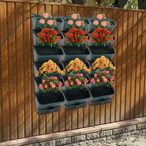 Self Watering Wall