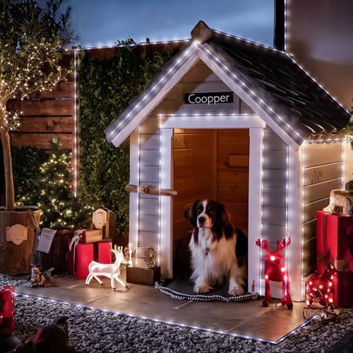2 Pack 100 LED Solar Rope Lights (66 Foot)