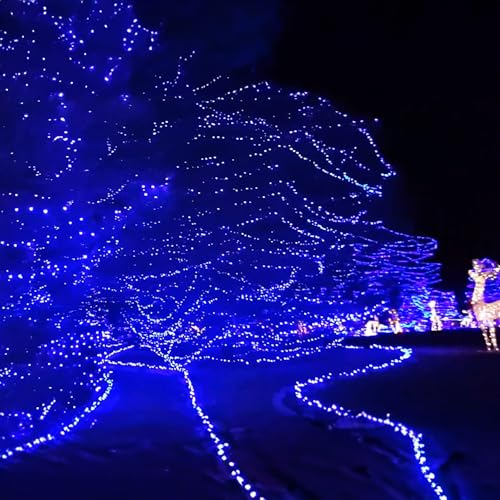 Outdoor Christmas String Lights