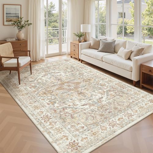 6x9 Area Rugs for Living Room