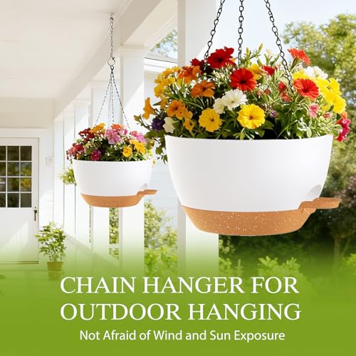 12 Inch Hanging Baskets 2 PC with Chains (2 Count)