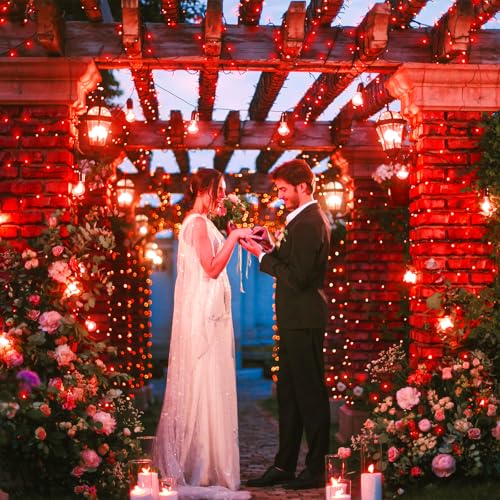 100FT 300 LED Christmas Lights Outdoor
