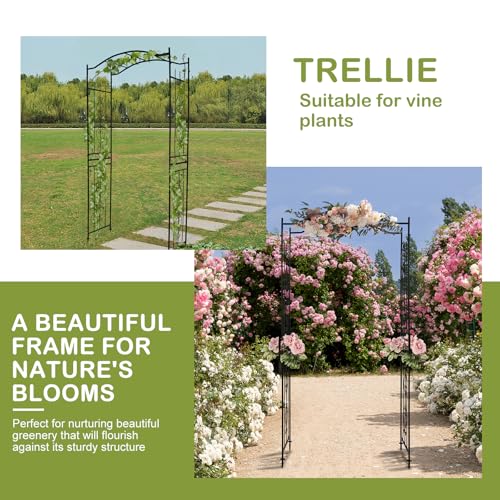 Black 7.5FT Steel Garden Arch Trellis for Climbing Vines & Roses