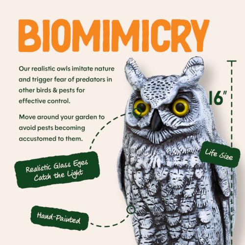 Fake Owl Decoy to Scare Birds Away from Gardens