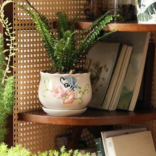 Ceramic Plant Pots with Drainage Holes and Saucers (3 Count)