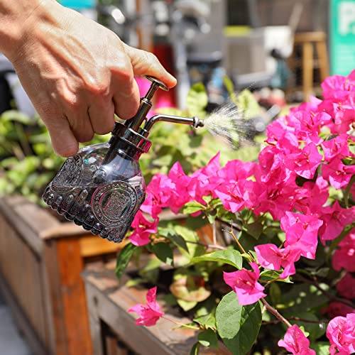 Glass Plant Mister Spray Bottle