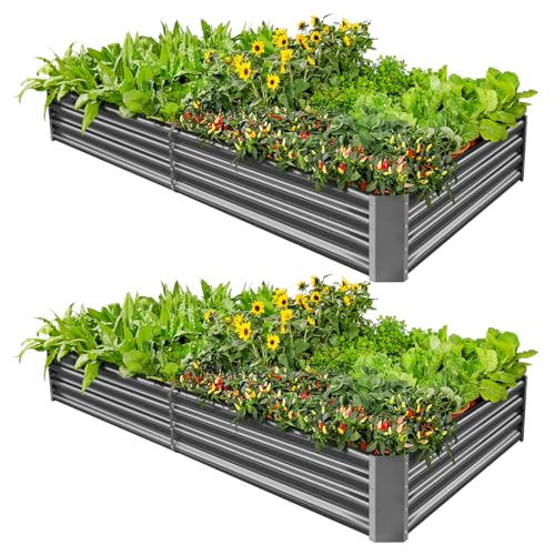 2 Pack 8×4×1ft Galvanized Metal Raised Garden Bed (2 Count)