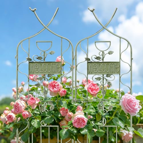 59.5 x 36in Rustic Iron Arch Decoration Garden Trellis with Metal Coating