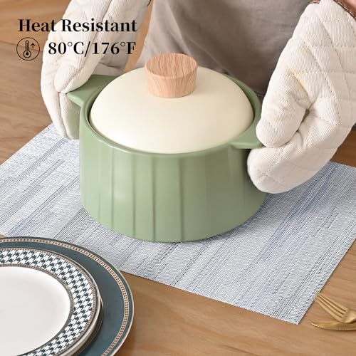 LightSteel Blue Placemats Set of 12 (12 Count)