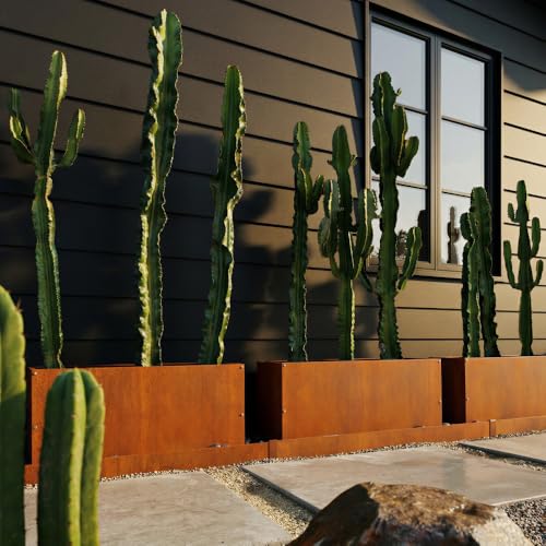 Corten Steel Rectangular Outdoor Planter Box