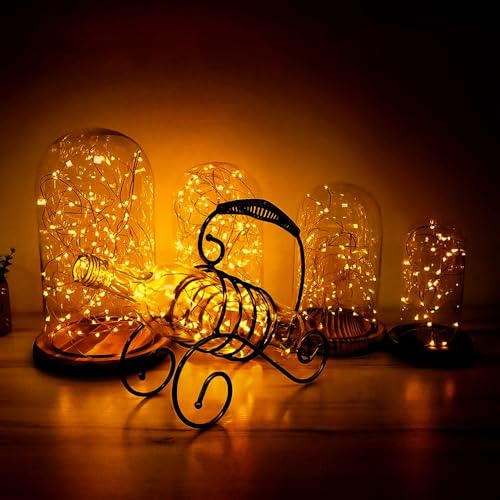LEDs Fairy Lights (10 Foot)