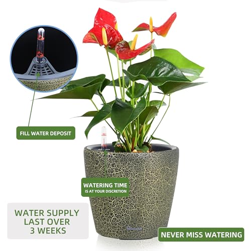 11x10 Self Watering Planter