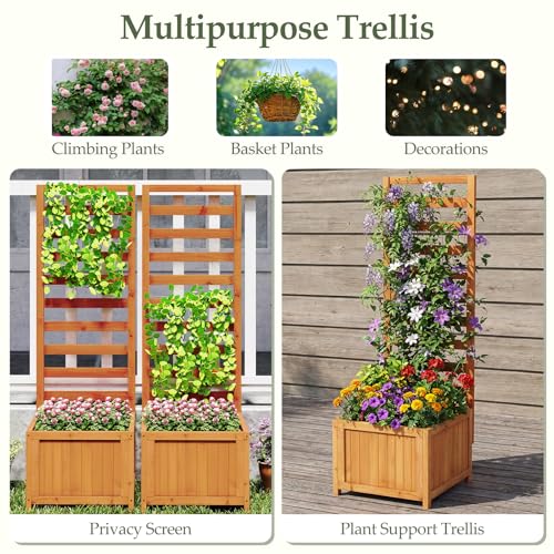 2 48" Raised Garden Bed with Trellis & Garden Box