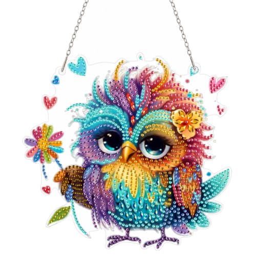 Owl Diamond Art Kits for Adults