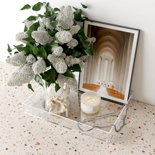 16"x12" Large Acrylic Serving Tray