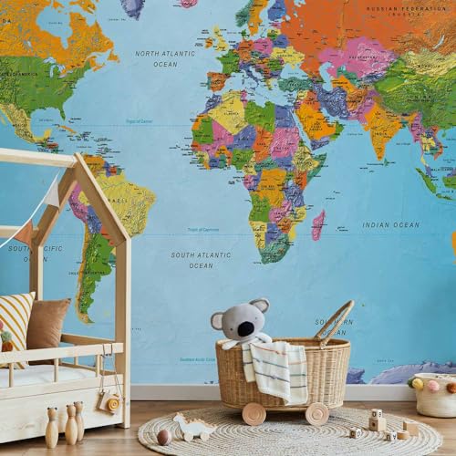 Wall Mural World Map 138x101 in (96.44 Sq Ft)