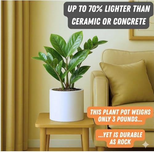 Large Planter for Indoor or Outdoor