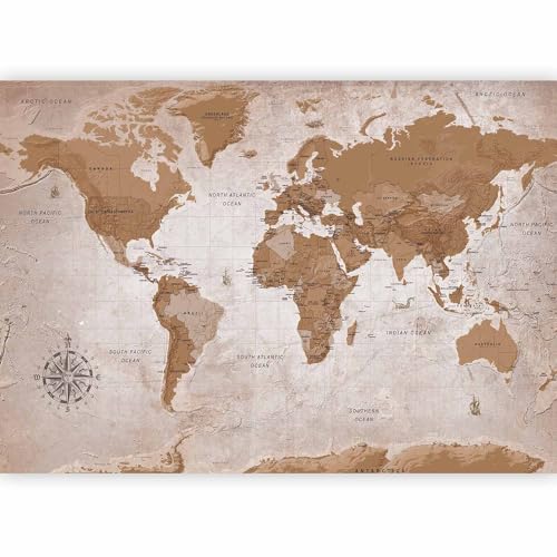 Wall Mural World Map 157x110 in (120.55 Sq Ft)