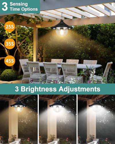 Solar Shed Light Outdoor Indoor Daytime Available (2 Count)