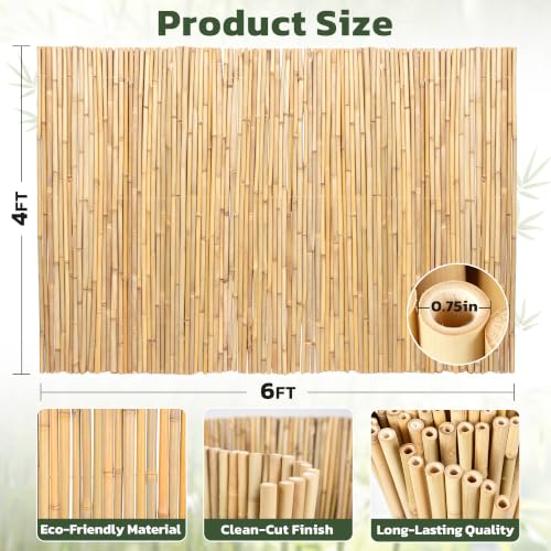 Natural Bamboo Fence (24 Sq Ft)