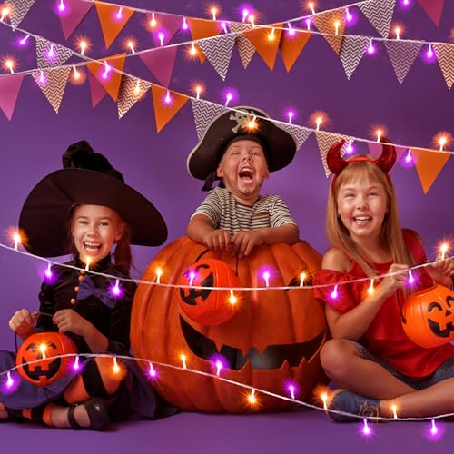 250 LED 82FT Halloween Lights Outdoor