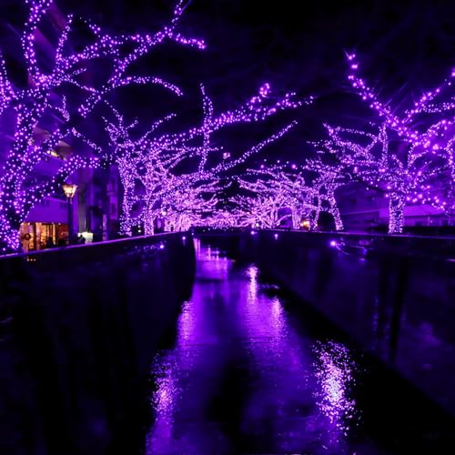 2 Pack 200 LED Solar Fairy Lights Outdoor (2 Count)